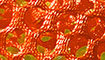 neonorange title=